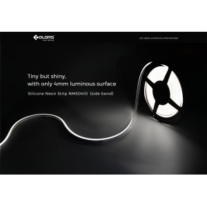 Flexible neon COLORS 24V-IP65 7,2W 240Lm 3000K 5m (NMS0410-WW)