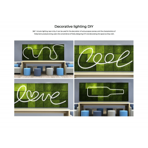 Flexible neon COLORS 24V-IP65 14.4W 2300/4000K 5m (NNR25-CCT)