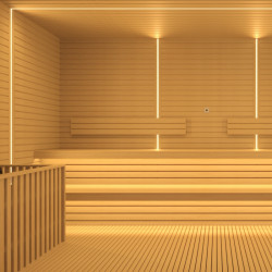 Neon neon COLORS Sauna 24V IP67 5W 360Lm 2700K 5m (ANT1615-SW)