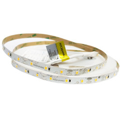 Taśma LED RISHANG 60-2835-12V-IP20 4,8W Niebieska 5m (RD0860TA-B)