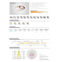 Taśma LED RISHANG 96-3528-24V-IP33 9W 2700K/6500K 5m (RD0096BC-B-MW)