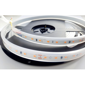 Taśma termoodporna COLORS 80-3030-24V-IP65 4,8W 690Lm 2700K 5m (DS980-24V-10mm-IP65-SW)