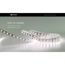 Taśma LED COLORS 168-2835-24V-IP33 9,61W 1900K + 3000K 5m (DS8168GWWW-24V-10mm)
