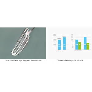 Taśma LED COLORS 160-2835-24V-IP20 16,4W 2500Lm 4000K 5m (DS8160-24V-10mm-NW)