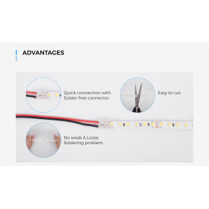 Taśma LED COLORS 120-2835-24V-IP65 9,6W 809Lm 3000K 5m (DJ120-24V-8mm-IP65-WW)