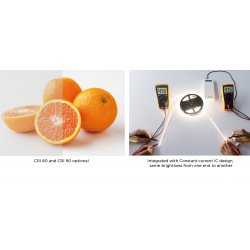 Taśma LED COLORS 256-2835-24V-IP20 34W 4800Lm 4000K 2,5m (DS8256-24V-12mm-NW)