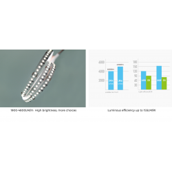 LED strip COLORS 256-2835-24V-IP20 39W 4800Lm 4000K 5m (DS8256-24V-12mm-NW)