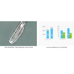 Taśma LED COLORS 256-2835-24V-IP20 34W 4800Lm 4000K 2,5m (DS8256-24V-12mm-NW)
