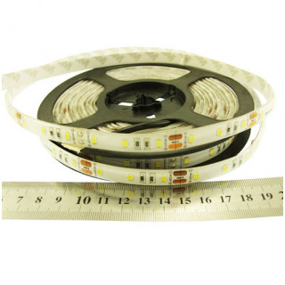 Taśma LED RISHANG 60-2835-24V-IP65 5,5W 605Lm 4000K 5m (RN6060TC-B-NW)