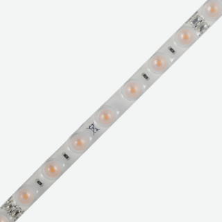 LED strip COLORS 56-2835-24V-IP55 14.4W 1360Lm 3000K 5m (LX56-24V-1007mm-WW)