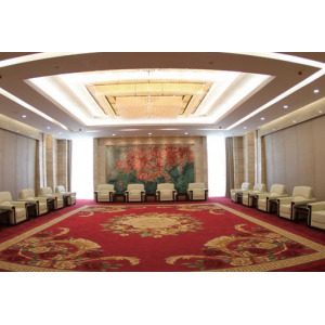 LED strip RISHANG 120-2835-12V-IP20 8.6W 818Lm 3000K 50m (RN08C0TA-B-WW_50)