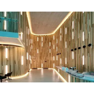 LED strip RISHANG 120-3014-24V-IP20 8.6W 836Lm 3000K 5m (RD08C0GC-WW)