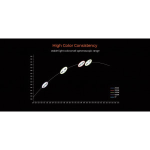 LED strip COLORS COB-24V-IP20 8W 720Lm 6500K 5m (DRF6-24V-8mm-W)
